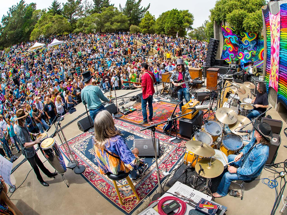 From Dog Parades To Deadheads 3 Offbeat Events In San Francisco This Weekend From Dog Parades To Deadheads 3 Offbeat Events In San Francisco This Weekend
