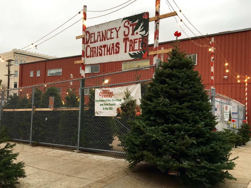 A Christmas Tree Do Good At Delancey Street S New