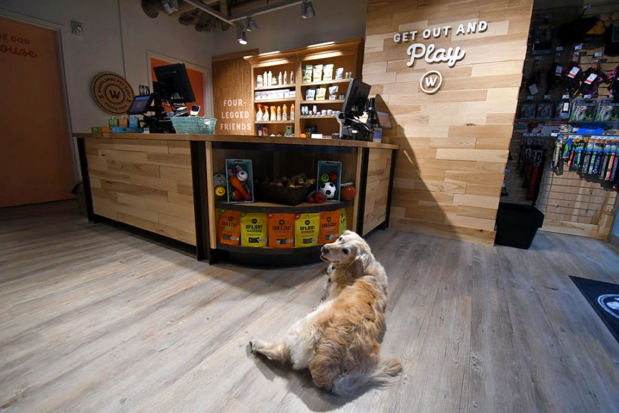 Meows And Barks Welcome At Soma S New Woodlands Pet Shop Hoodline