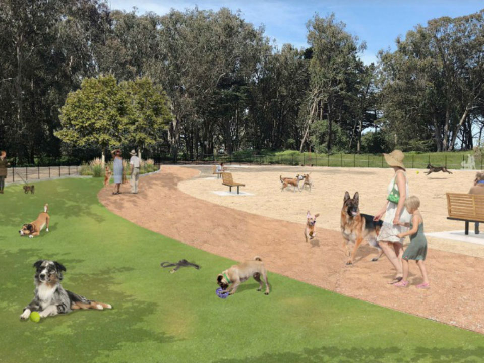 Plans released for Golden Gate Park dog play area improvements | Hoodline