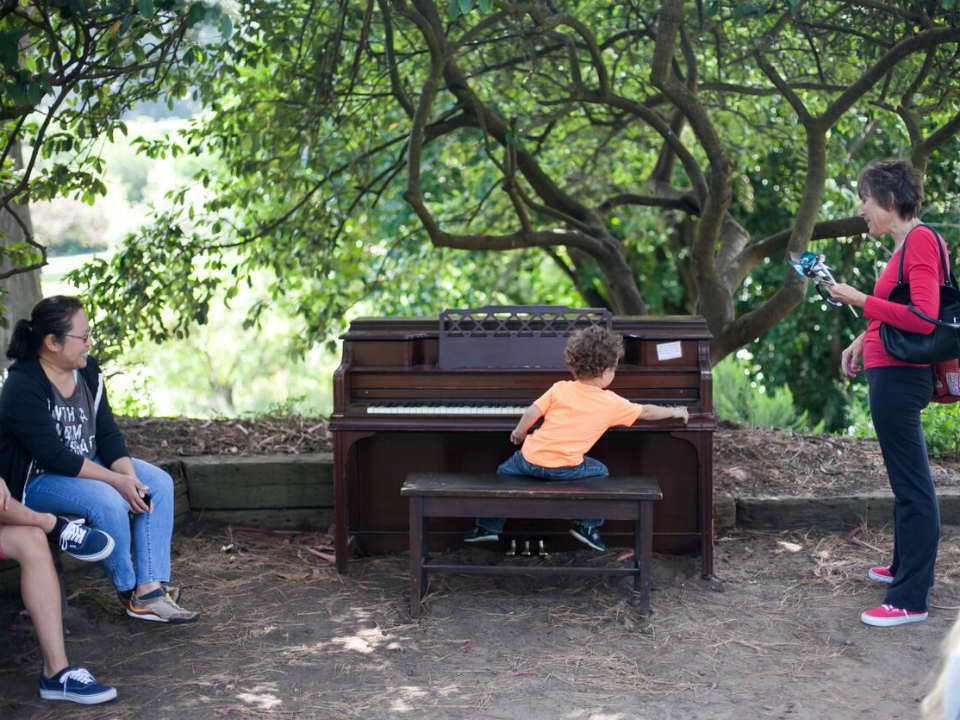 12 Playable Flower Pianos Return To Sf Botanical Garden Today