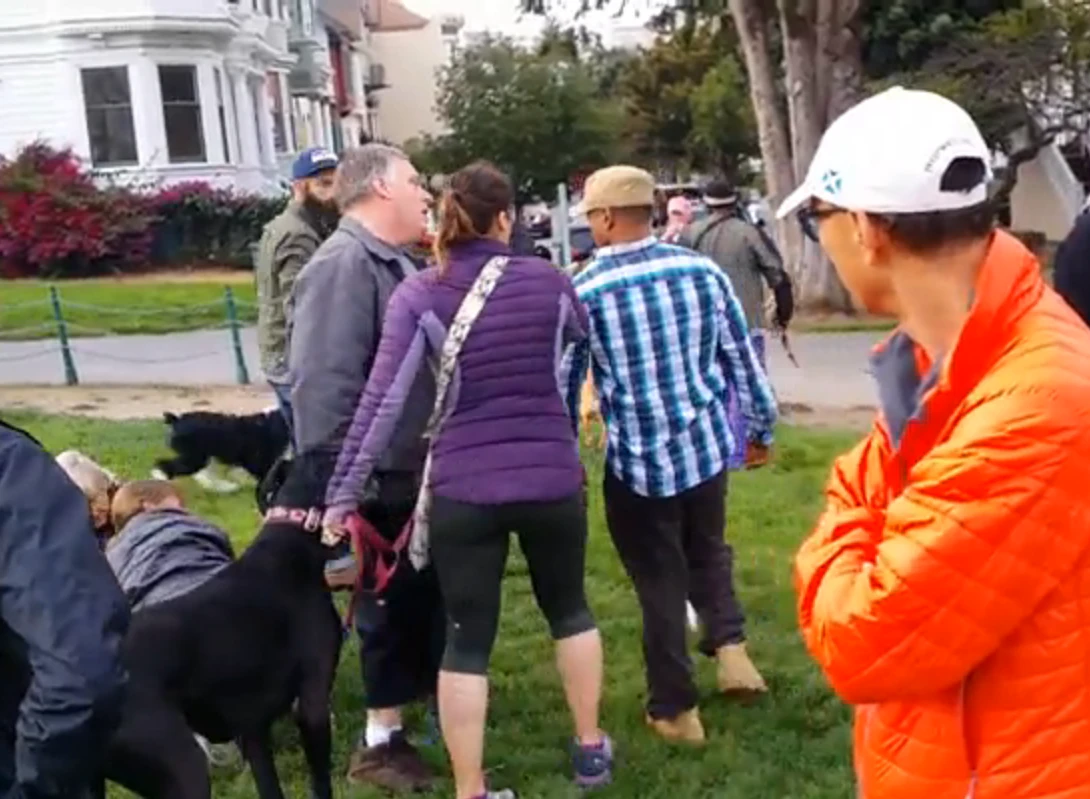 Video Man Kicks Dog In Aggressive Duboce Park Confrontation Hoodline