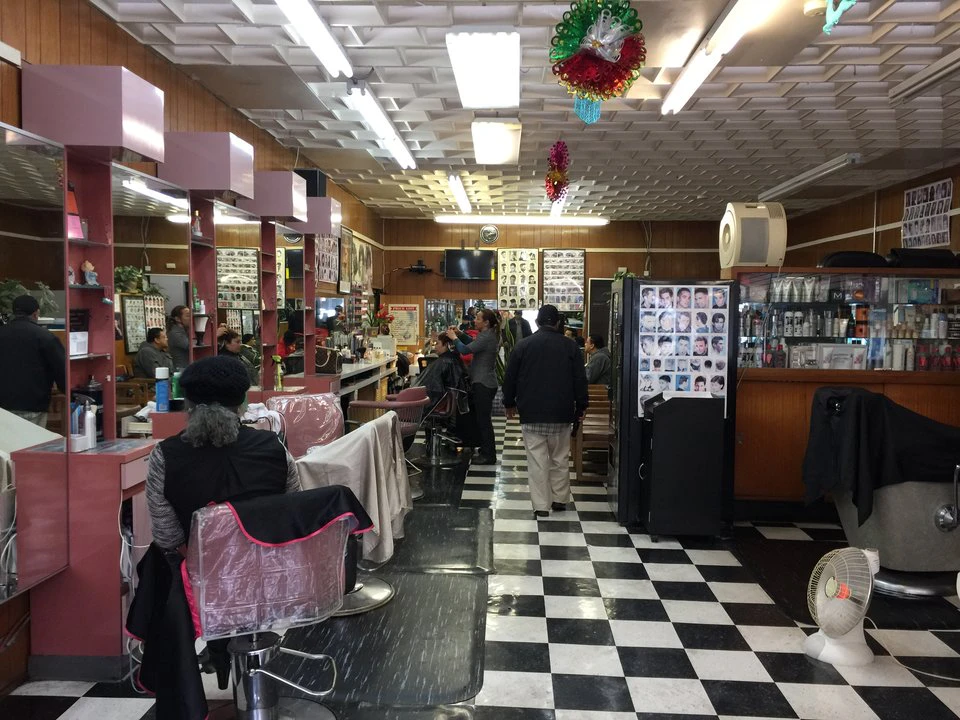 How Beauty Salons Are Surviving A Changing Mission District Hoodline