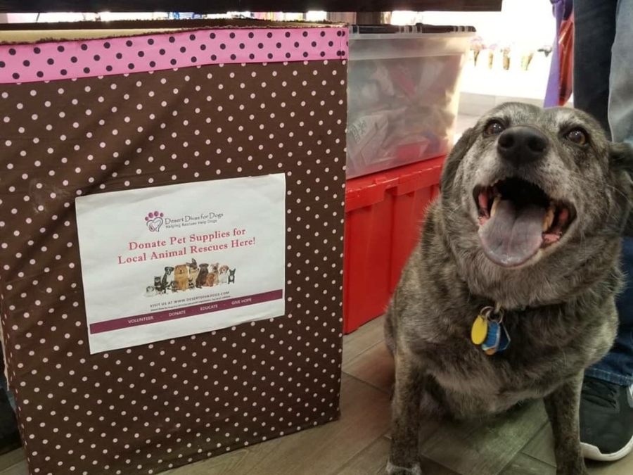 Henderson's top 5 pet stores, ranked