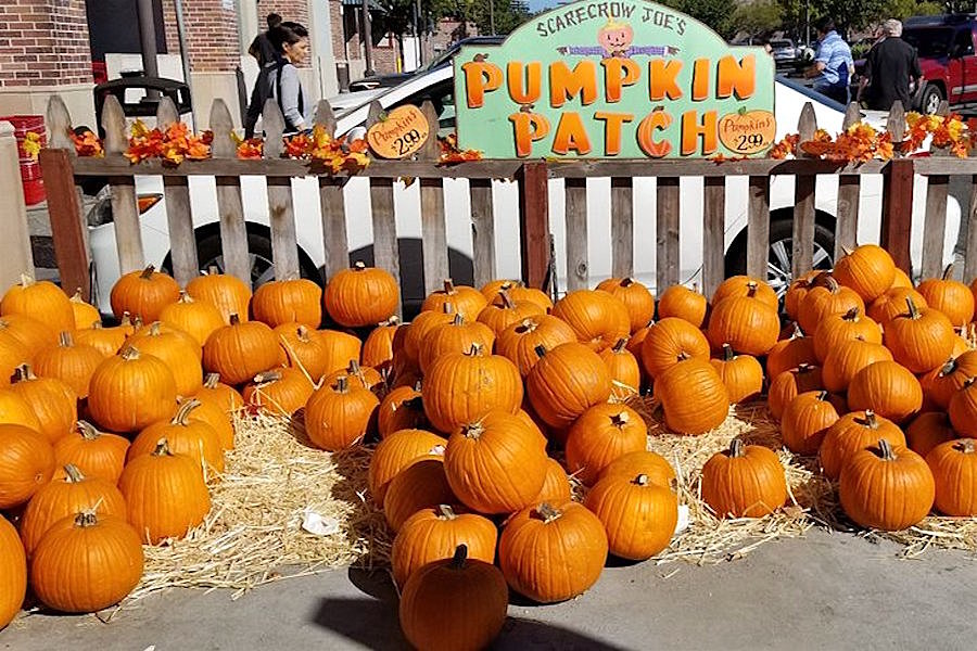 The 5 best grocery stores in San Jose