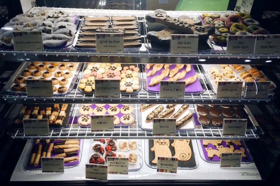 Fort Worth's top 5 pet supply shops, ranked