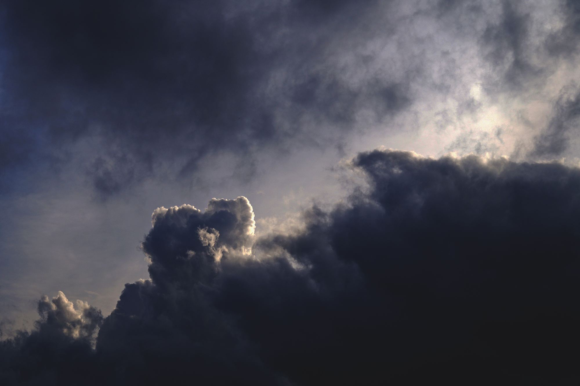 (Credit: Unsplash/ Hoodline)