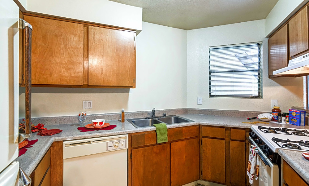 Apartments For Rent In Albuquerque What Will 700 Get You