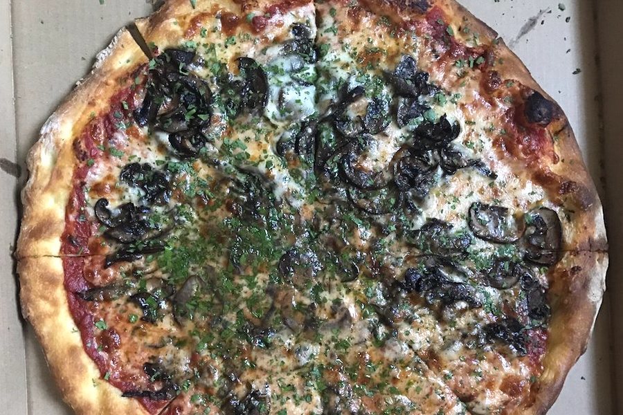 Top pizza choices in Berkeley for takeout and dining in
