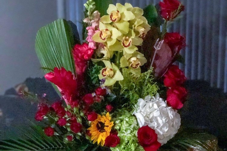 Your guide to the 4 top spots in Santa Ana's Memorial Park