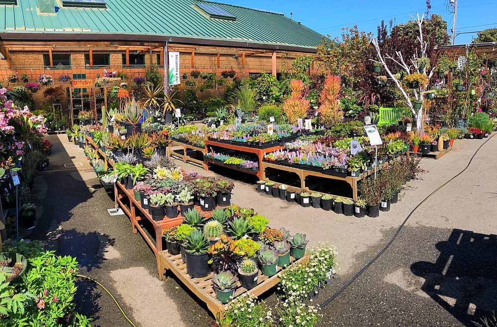 Sloat Garden Center Likely To Close For New Mixed Use Development
