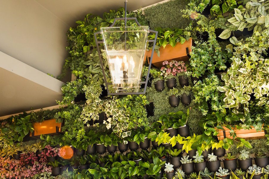 In Bloom Check Out 4 Of Los Angeles Newest Plant Nurseries Plant Nurseries