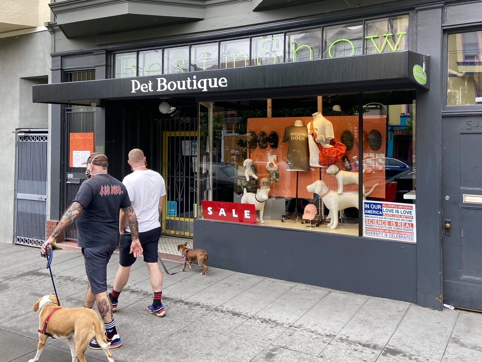 dog store